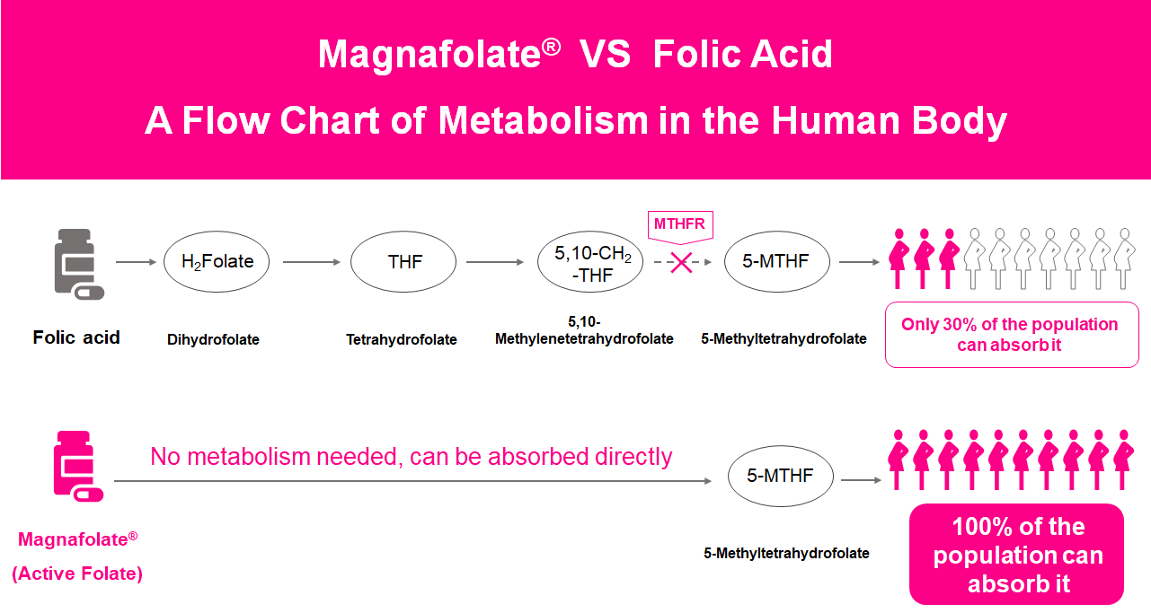Carta alir Metabolisme dalam badan manusia, Aktif Folat VS Asid Folik