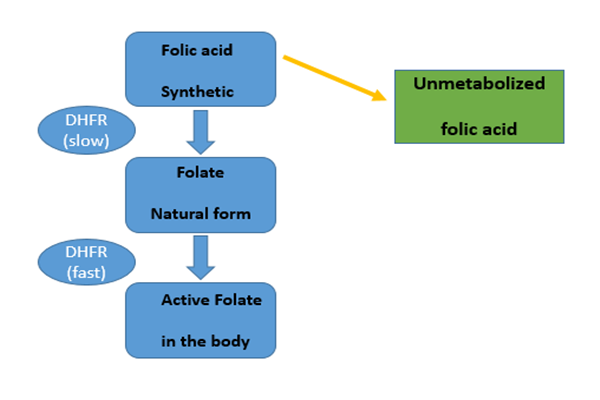 Pengambilan asid folik 266mcg setiap hari mengganggu metabolisme folat normal kita