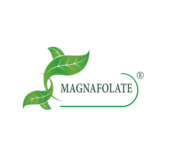 Apakah Magnafolate®? Folat VS Asid Folik, Apakah Perbezaannya?
