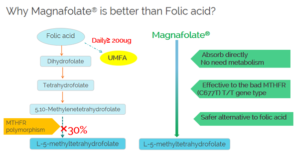 Mengapa Magnafolate lebih baik daripada asid folik?