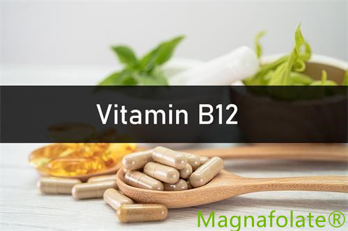 Vitamin B12：Pengenalan, Faedah, Kesihatan