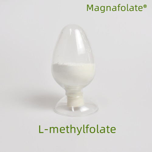Apakah l-metilfolat?