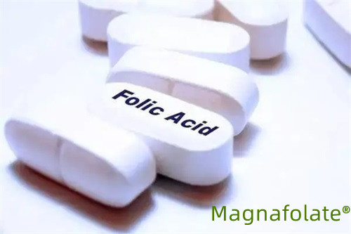 Mengenai asid folik