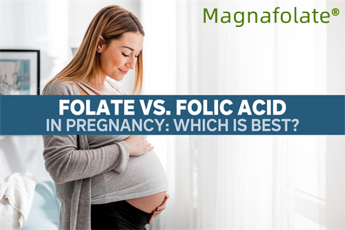 Apakah asid folik dan L-Methylfolate?