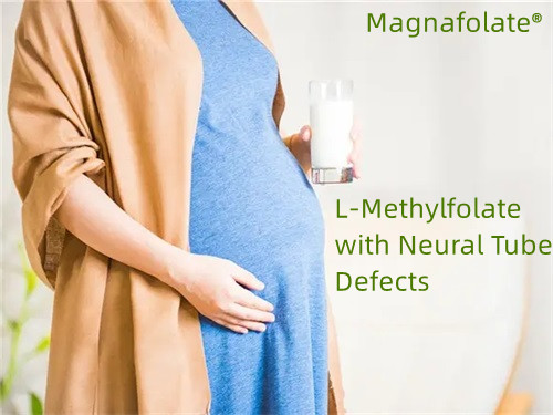 Folat, L-Metilfolat dengan Kecacatan Tiub Neural