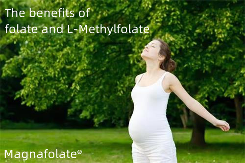 Kebaikan folat dan L-Methylfolate