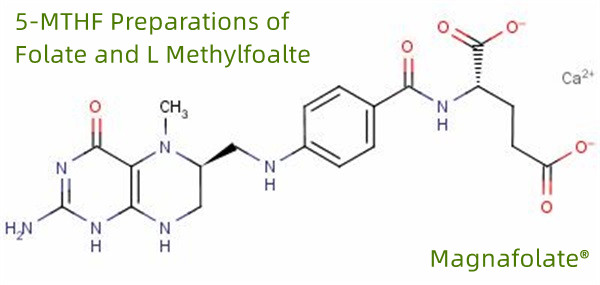 5-MTHF Persediaan Folat dan L Methylfoalte