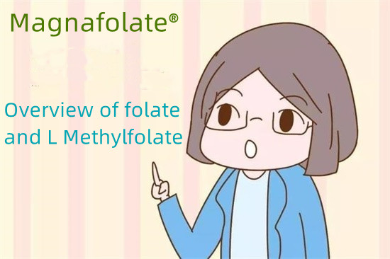 Gambaran keseluruhan folat dan L Methylfolate