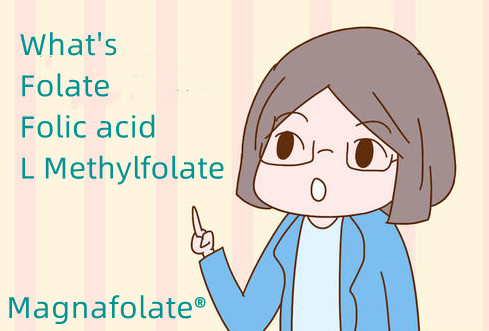 Apakah folat dan asid folik dan L Metilfolat?