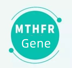 Apakah maksudnya jika anda mempunyai gen MTHFR?