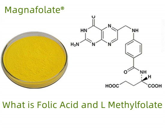 Apakah folat VS asid folik VS L-metilfolat