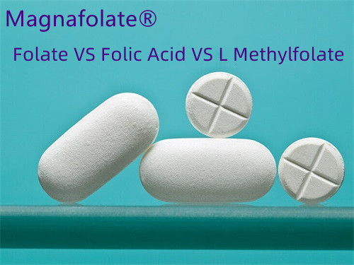 Asid Folik vs. Folat: Mana Yang Lebih Baik?