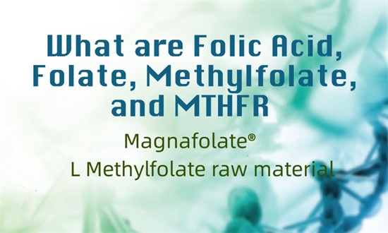 Apakah asid folik, folat, metilfolat dan MTHFR?