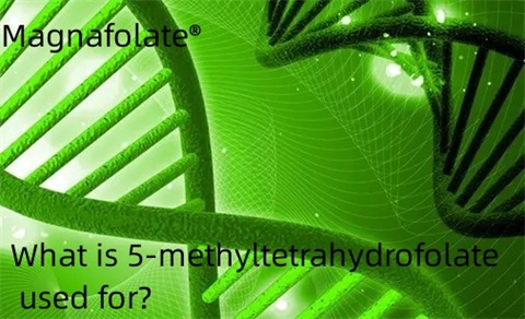 Apakah kegunaan 5-methyltetrahydrofolate?