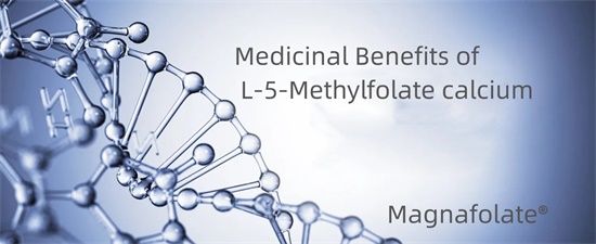 Faedah Perubatan Kalsium L-5-Methylfolate