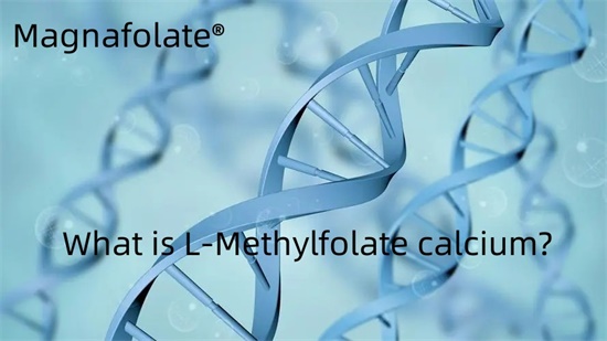 Apakah kalsium L-Methylfolate?