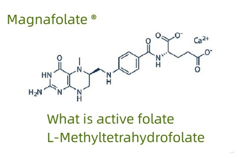 Apakah folat aktif dan L-Methyltetrahydrofolate