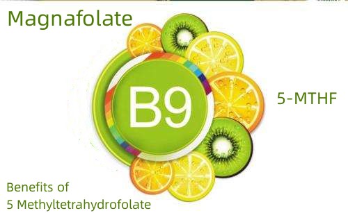 Kebaikan 5 Methyltetrahydrofolate