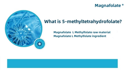 Apakah itu 5-methyltetrahydrofolate?