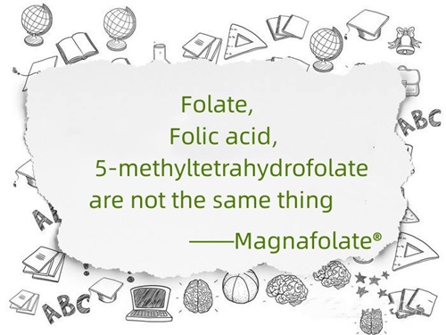 Folat, asid folik dan 5-methyltetrahydrofolate bukanlah perkara yang sama