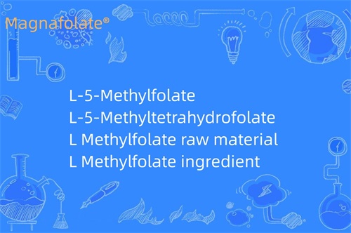 Apakah yang dilakukan oleh L Methylfolate?