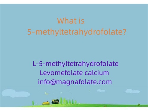 Apakah itu 5-methyltetrahydrofolate?