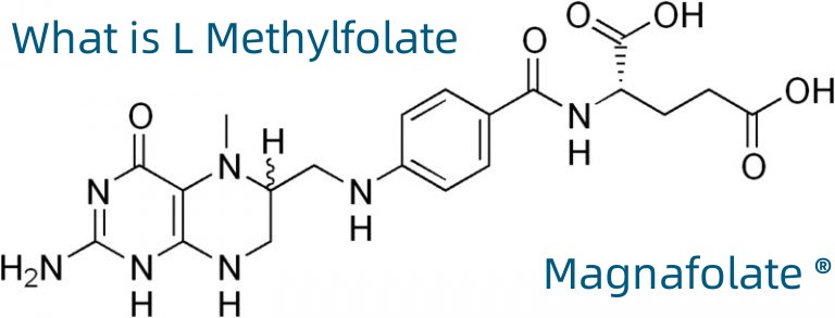 L-5-Methyltetrahydrofolate Kalsium Nombor CAS:151533-22-1