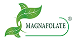 Magnafolate® VS asid folik