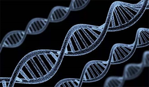 Genotip enzim metabolisme folat yang tidak normal adalah punca utama gangguan metabolisme folat