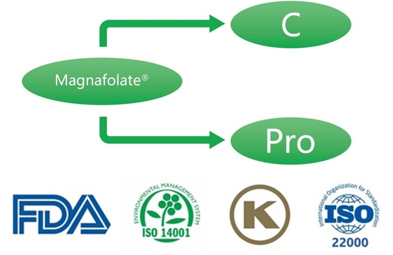 Apakah Kalsium L-5-methyltetrahydrofolate? Apakah pembekal?
