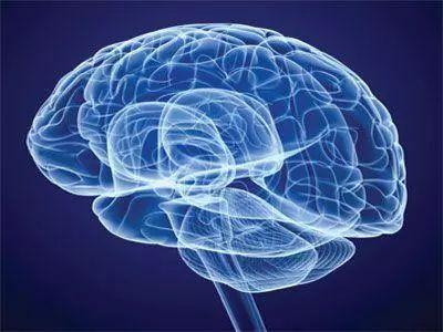 Folat melindungi sistem saraf dan mencegah demensia dan Parkinson