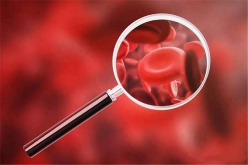 Mengapa Kekurangan Folat Menyebabkan Anemia