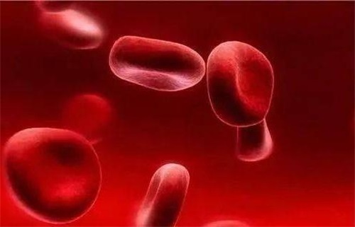 Mengapa kekurangan folat menyebabkan masalah sistem imun