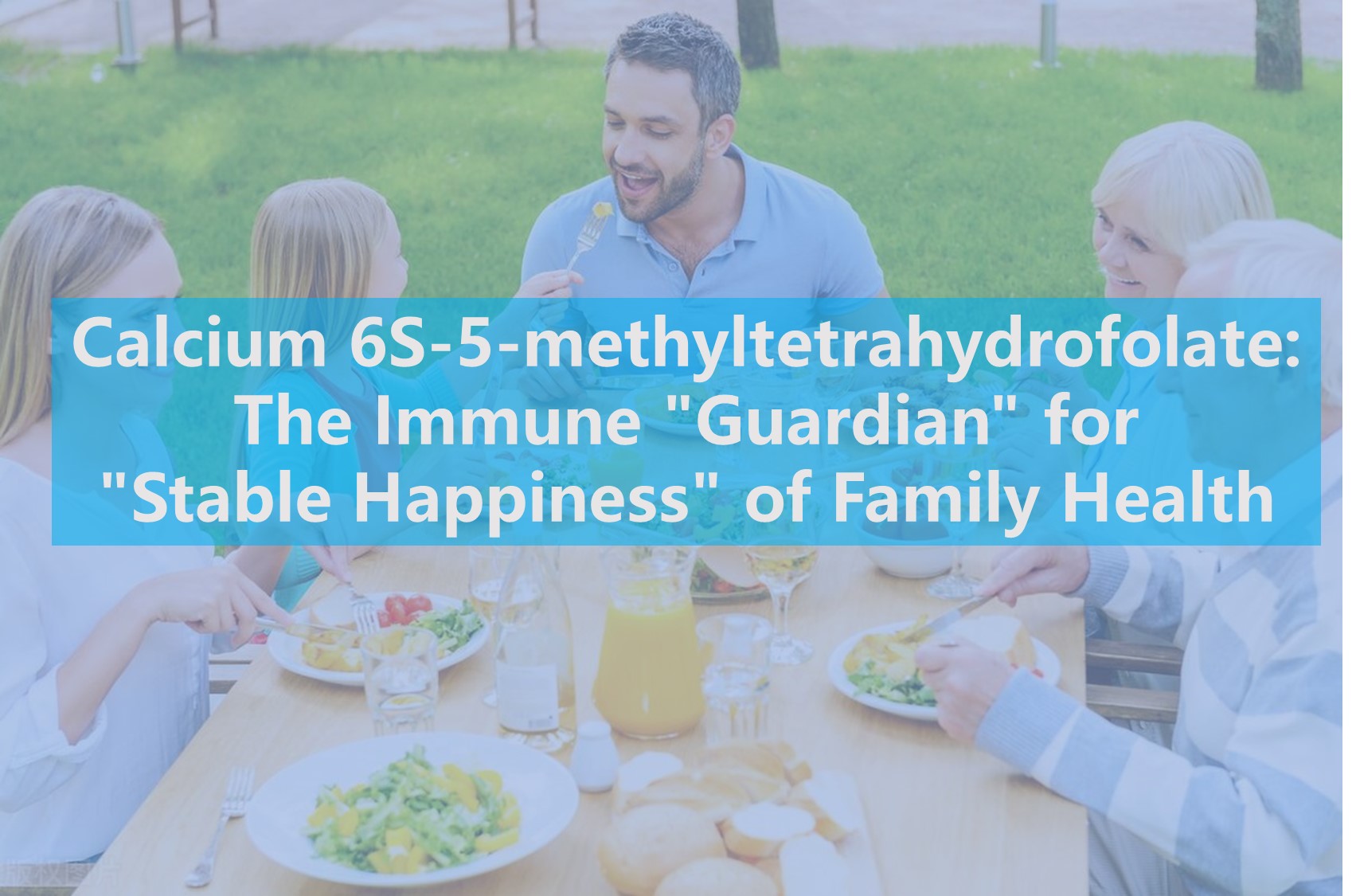 Kalsium 6S-5-methyltetrahydrofolate: 